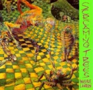 Screaming Trees - Invisible Lantern (1988).mp3 - 128 Kbps