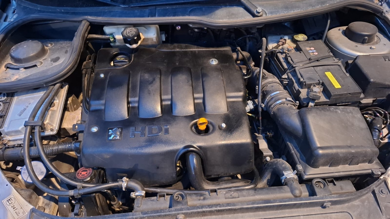 b309fc6d f317 4f1a 909f 3017cf4611e9