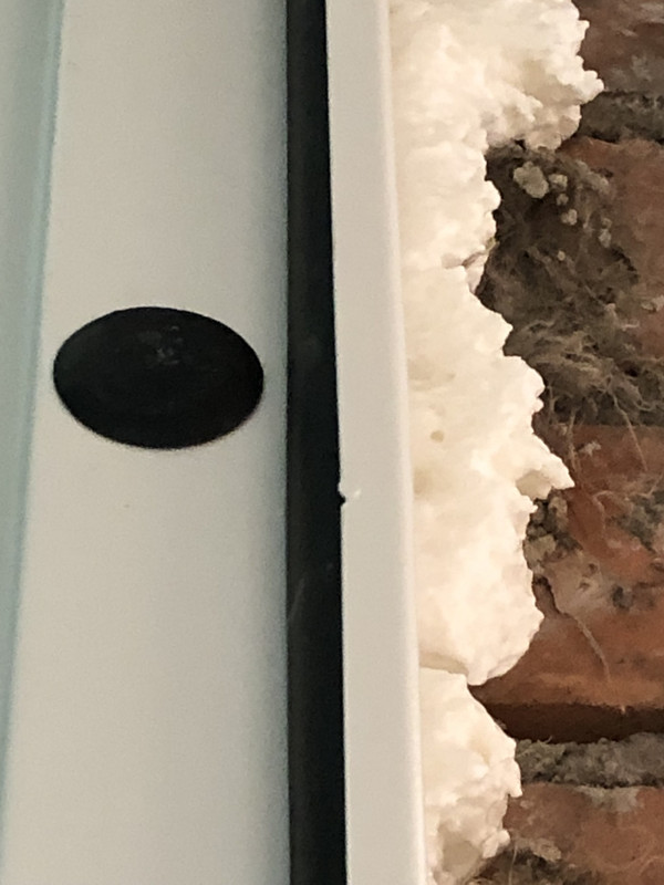 51B46426-7251-4204-BB6E-A40F28161A38