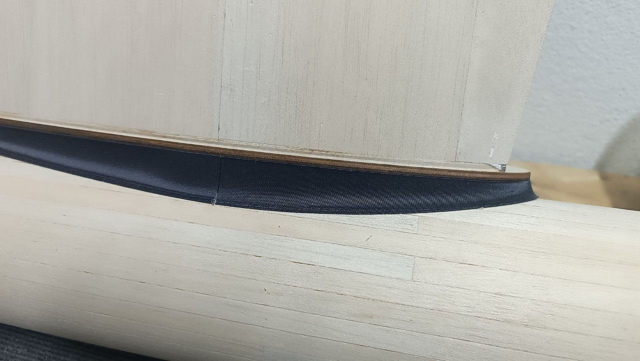 IMG_20241209_160323 (Medium)