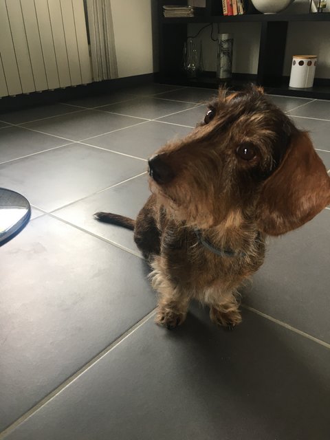 [Image: 747466-CC-C5-BF-4-BF3-B891-09-C0-D704-C0-B7.jpg]