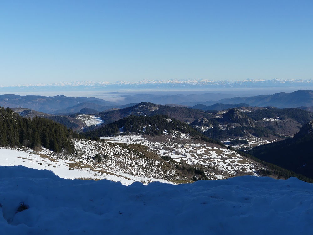 P1080238.jpg