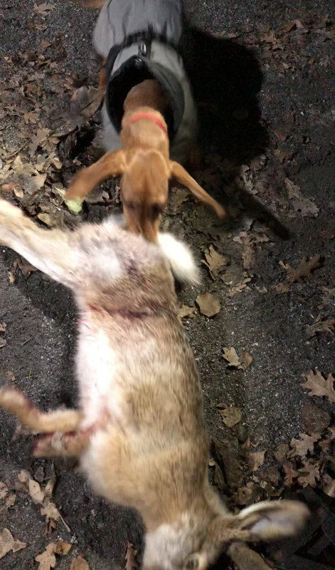 2EF37D33-3E34-4E6C-B8A6-182462D66481