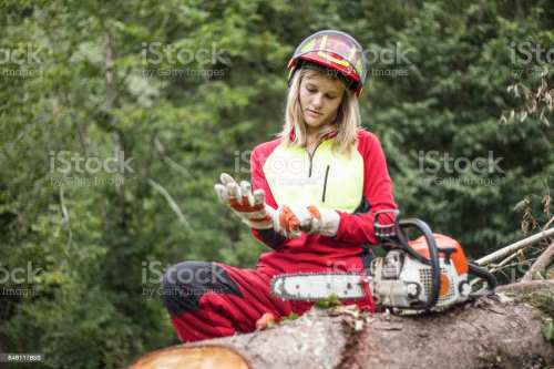 istockphoto-846117856-1024x1024.jpg