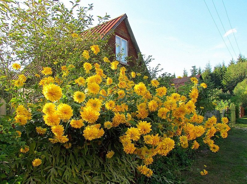 5e49cd0fdd653a260c92a8382c6c3420