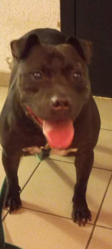 FD6AC9C0-F55D-4850-8AFD-EA47BD3B31CE