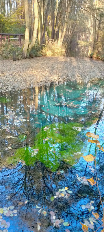 002 - IMG20201028141806