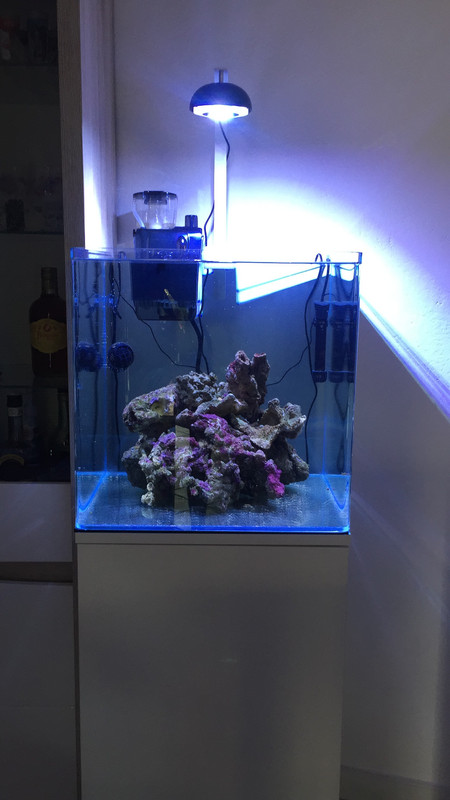 B1D4F6C0-C135-44F9-AB5A-67CF6100AEE3