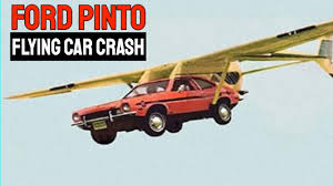 fly-pinto.jpg