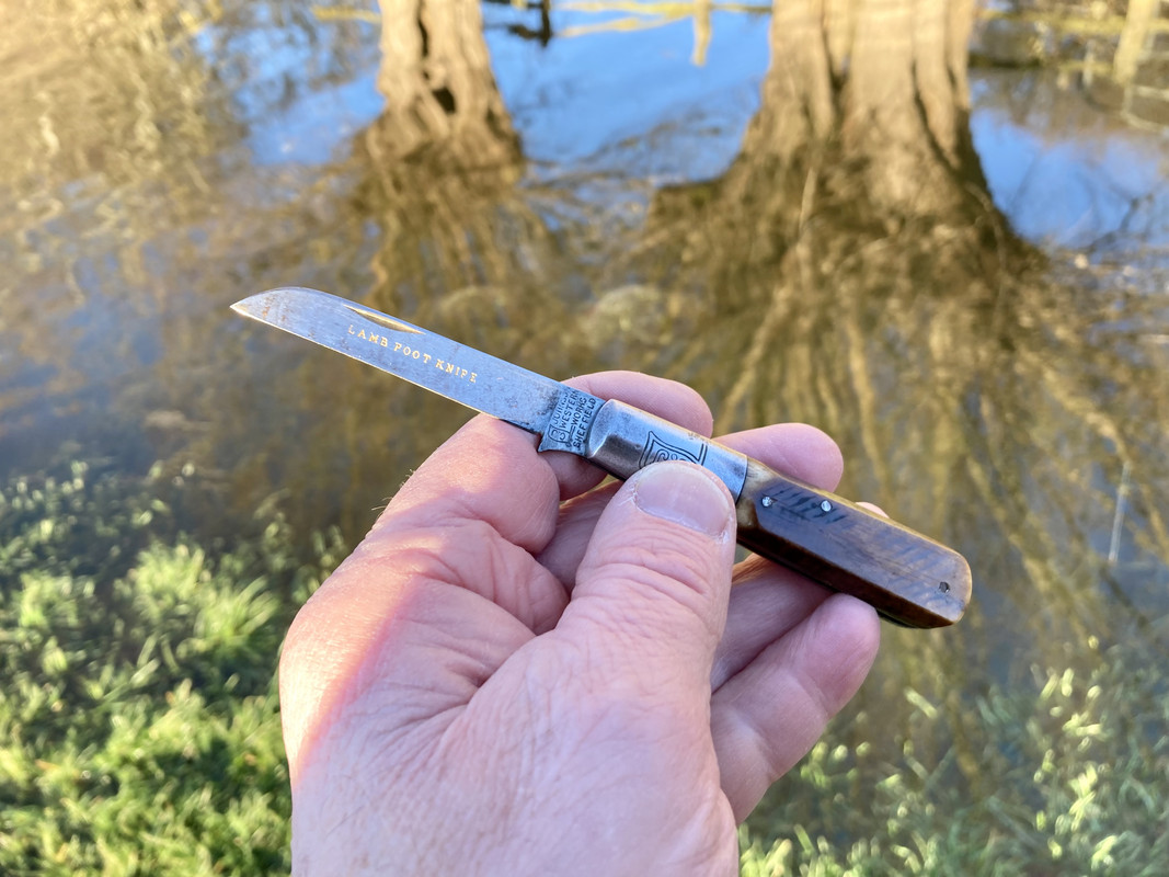 3E146E70-68DF-4BA7-86A8-D659A64A3C5F