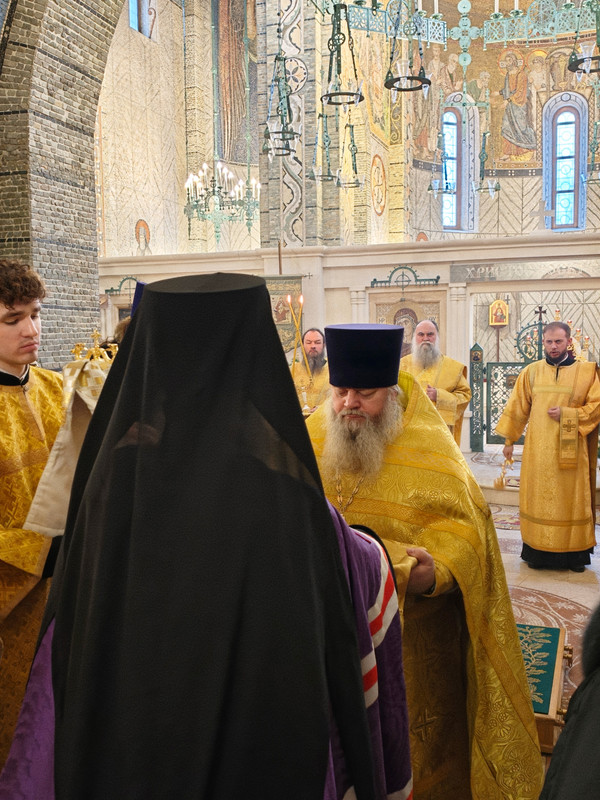 In Shot 20260212 182852994