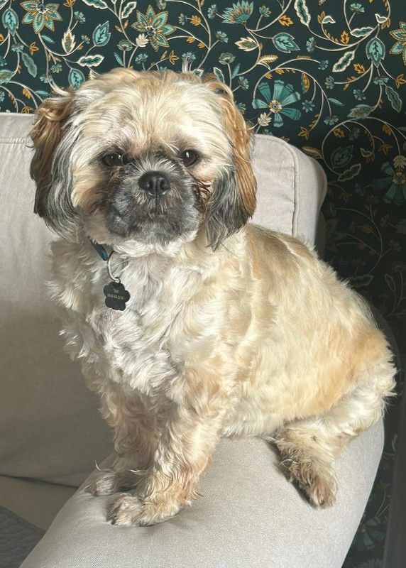 [Image: IMG-20240815-WA0003.jpg]