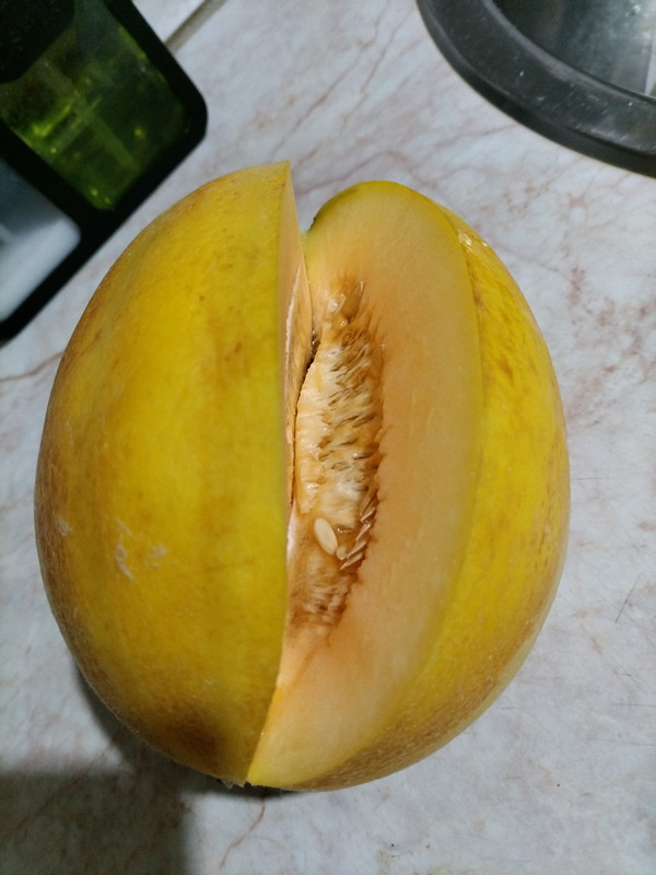 IMG 20260725 201815