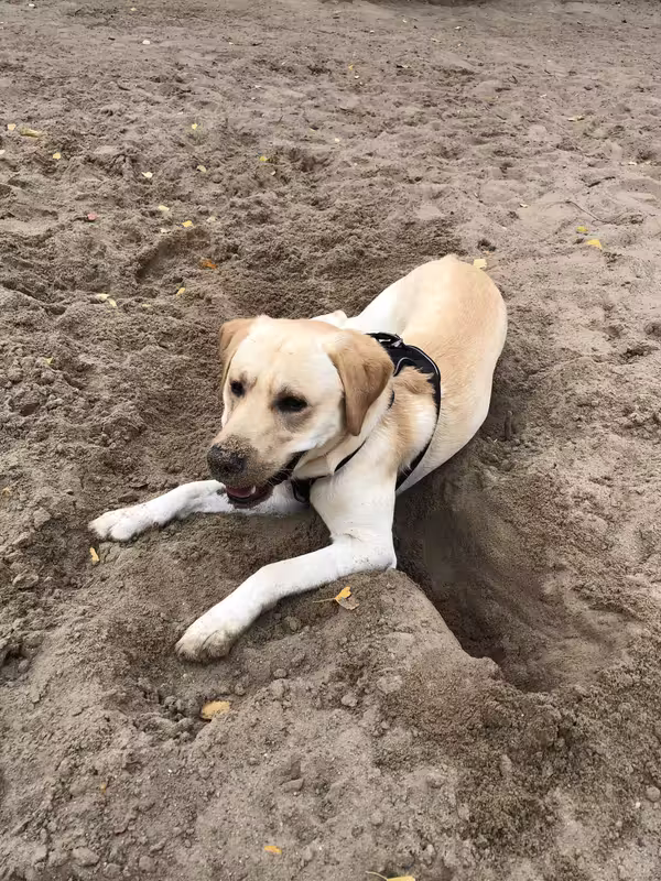 26376F4D-180F-44D0-8608-3DC6BAB87306