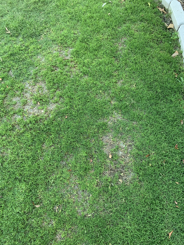 ABAC4710-6D1E-4971-A2CB-1DC91CC4E7A2