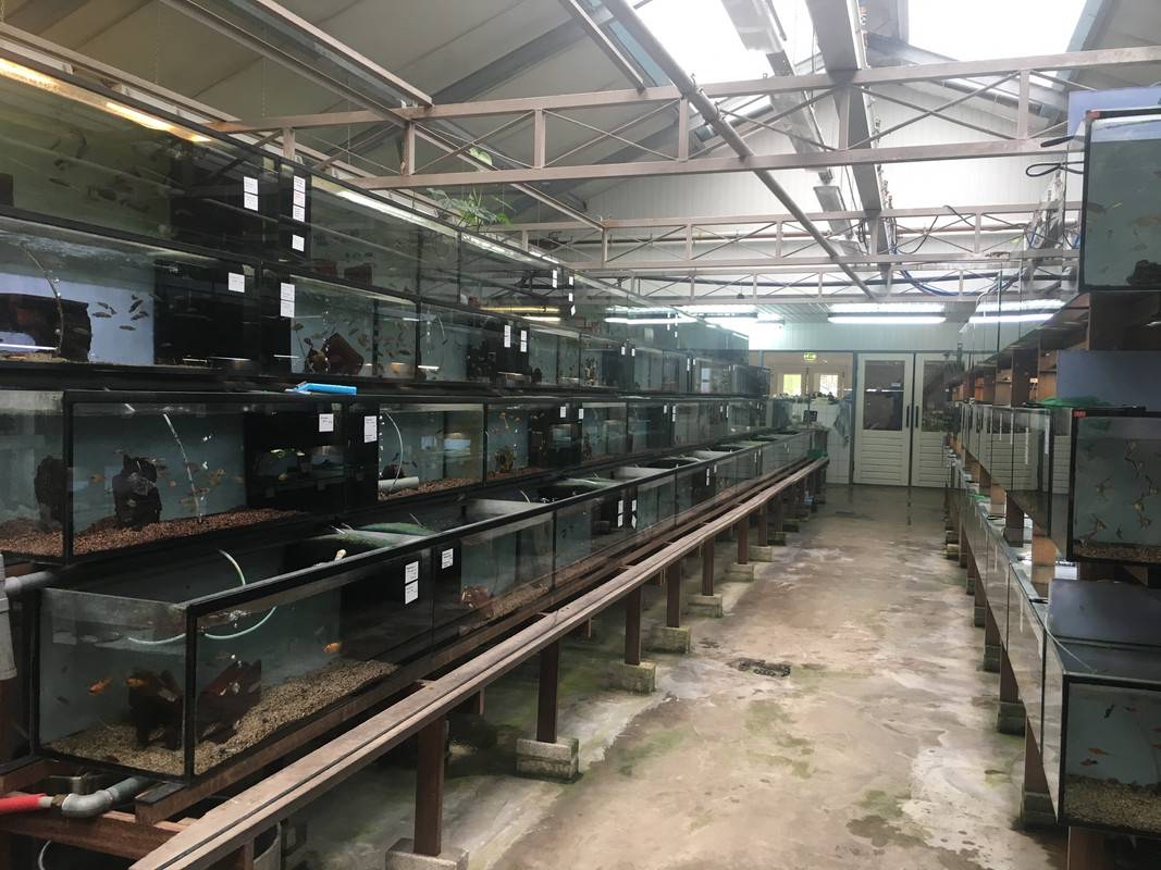 22C8C79A-7556-4E04-9330-B92AC707D044