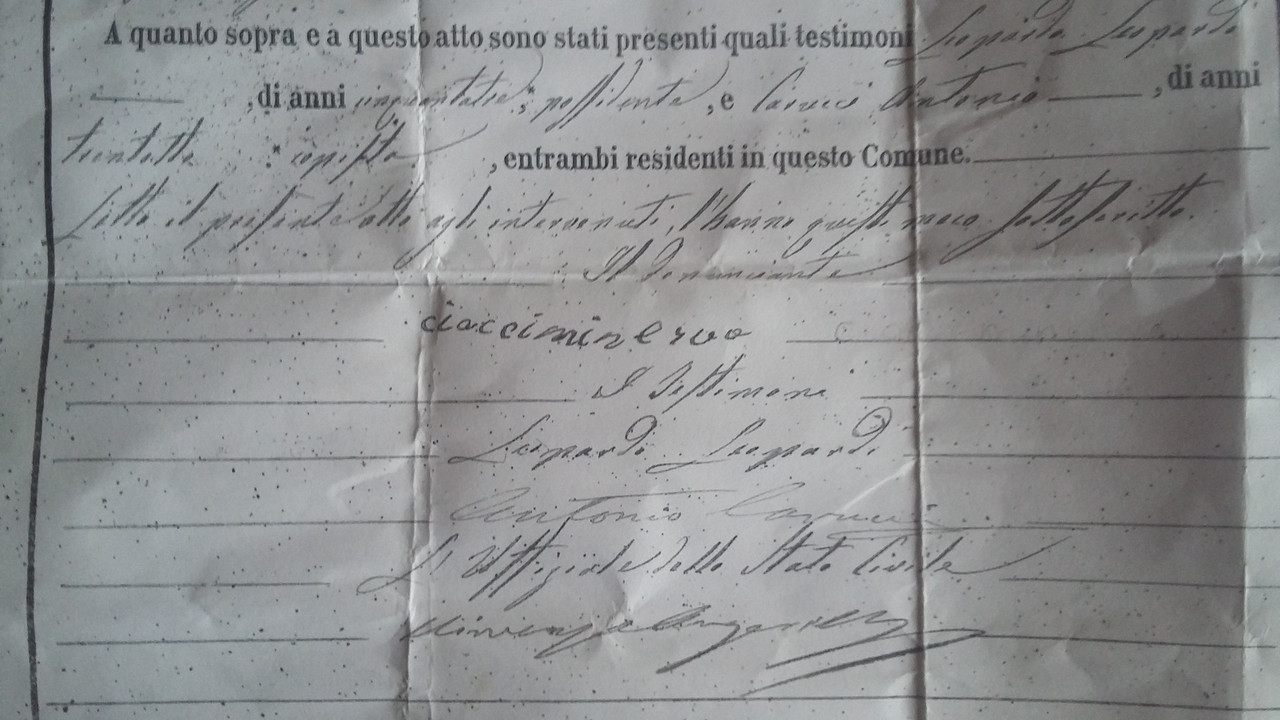 Immagine