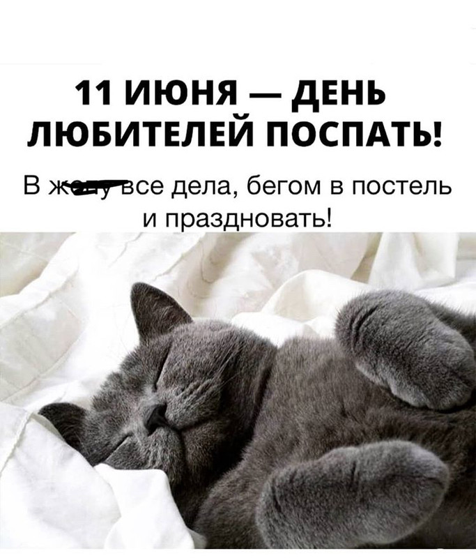 2-B6-C0-F4-E-56-C8-424-D-9019-C41-D16-FB7-C1-C.jpg