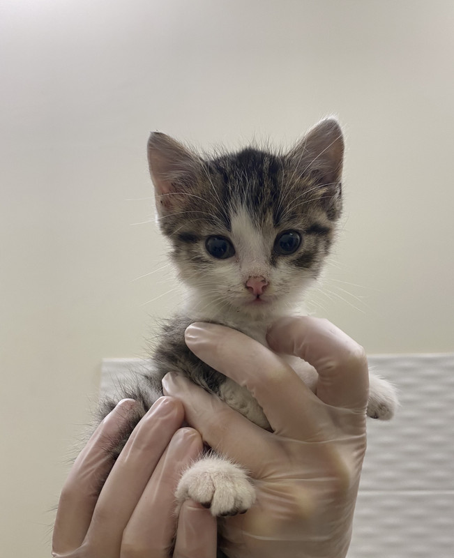 654B097E-DD4E-428E-96D5-FB7F56DA6D99