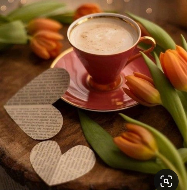 Screenshot_20230717_212632_Pinterest