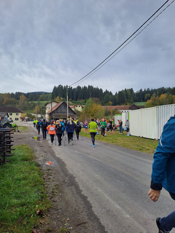 WhatsApp Image 2023-10-26 at 10.27.56 (3)