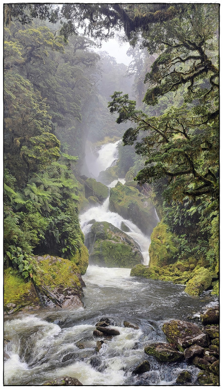 Fiordland NP: Milford Track (enero 2023) - Escapadas y rutas por la Nueva Zelanda menos conocida (60)