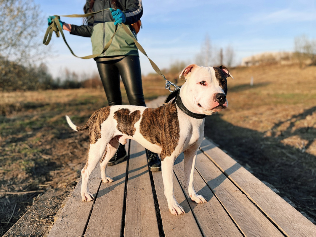 FB4DBA68-FEA8-4F20-B543-E279EA36F1A1