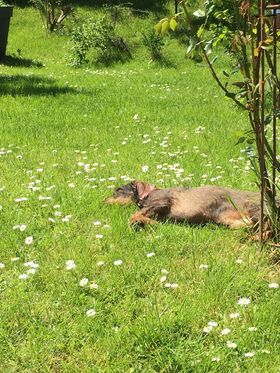 [Image: 312999944-2377412349092269-7023054813848333867-n.jpg]