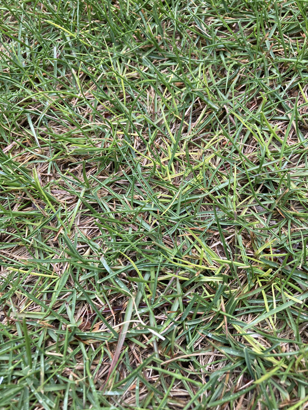 57F3829C-B2C5-47EE-A335-8D774A70CC7A