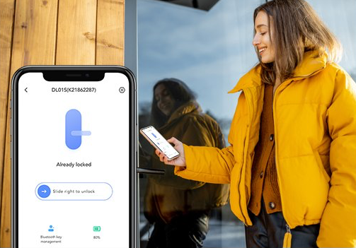Roomba piantina casa