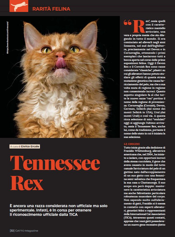 Ga Ma Apr-Mag 2023 (5)