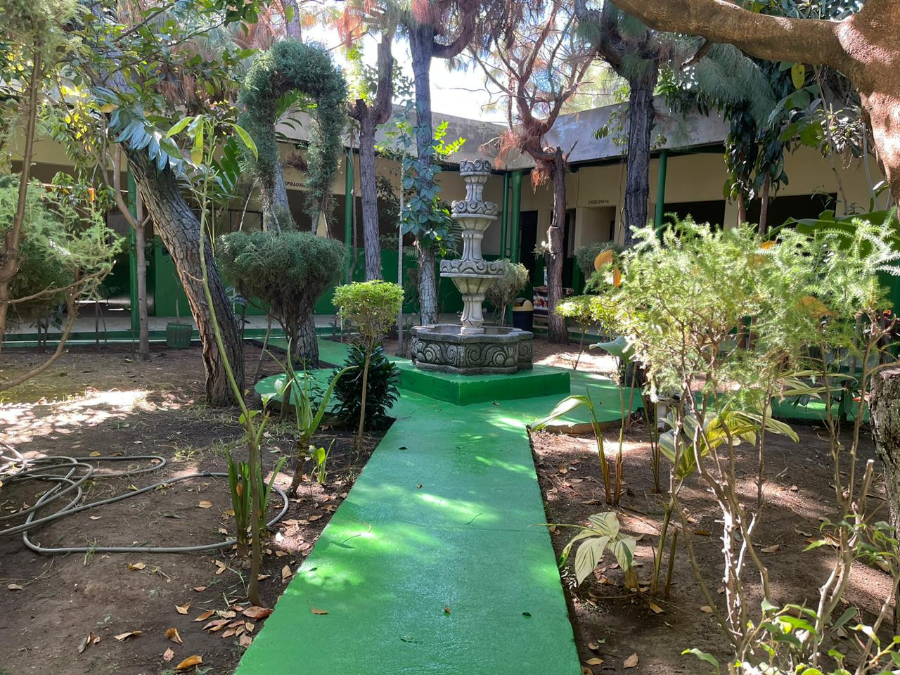 Colegio