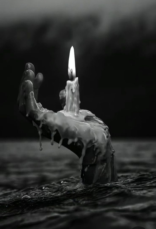 Screenshot_20231207_224350_Pinterest