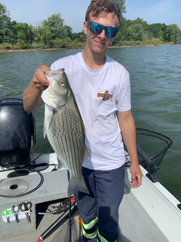 ED739CF5-03E2-4859-AAB7-C841714A1724