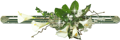 0-b2bcf-ebf5262f-orig