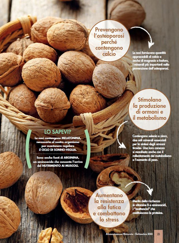 Alim Nat Set 2022 (8)