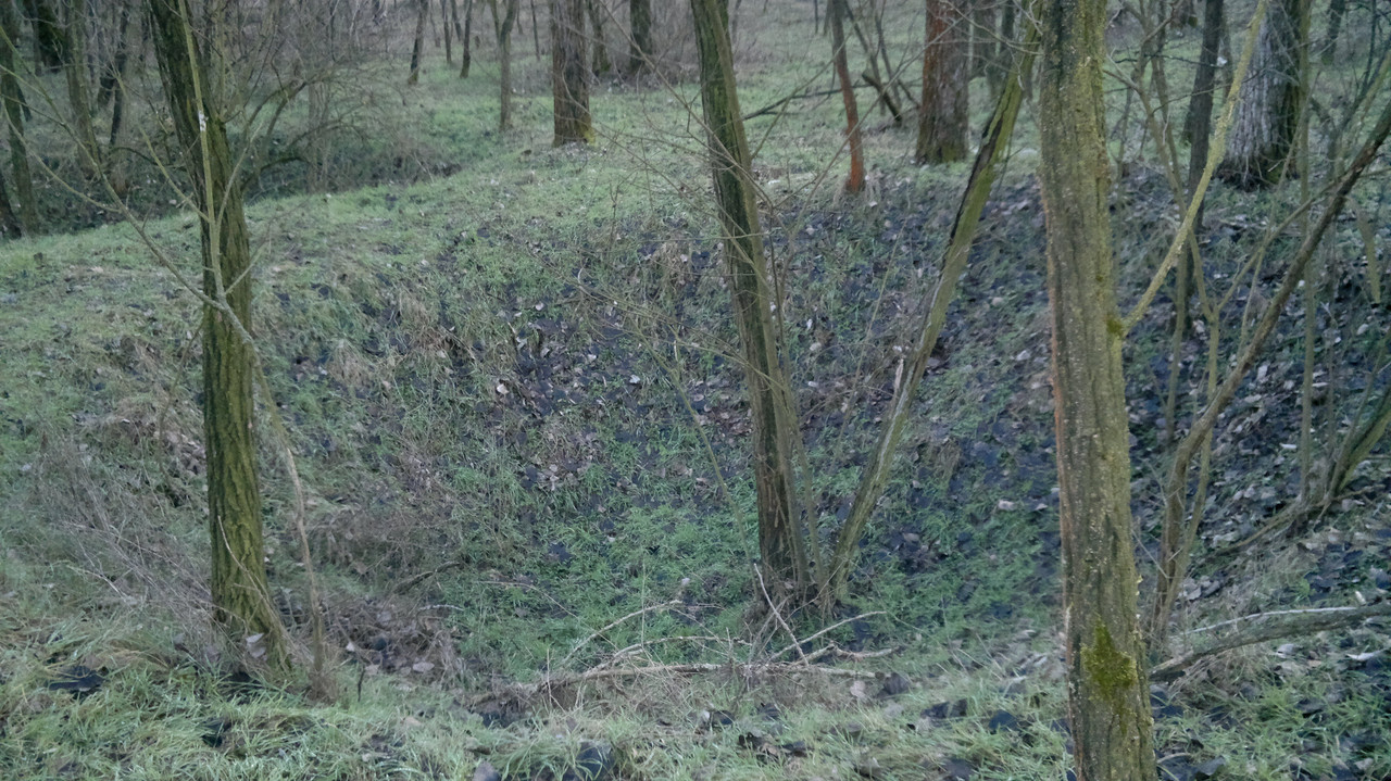 2016-01A Kálvária erdőben lévő bombatölcsérek,vagy inkább robban