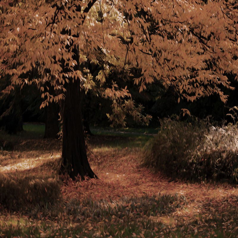 Autumn Witchery Papers (25)