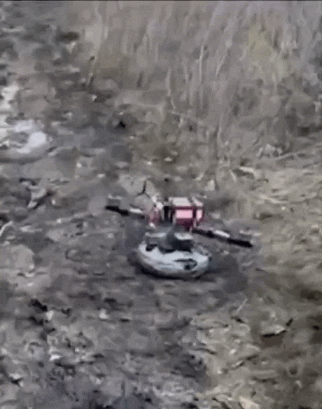 https://i.postimg.cc/65yKMBLF/video-2026-06-02-04-31-35-(1).gif