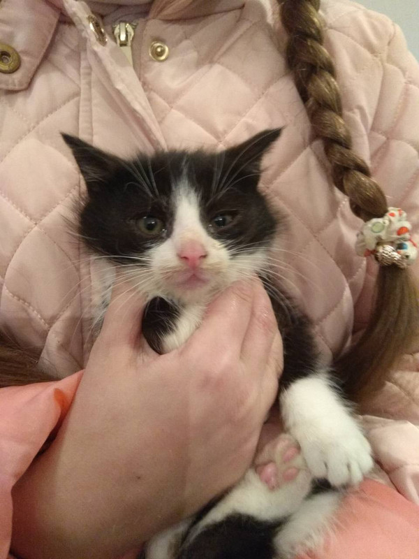 ВтораяПартия6