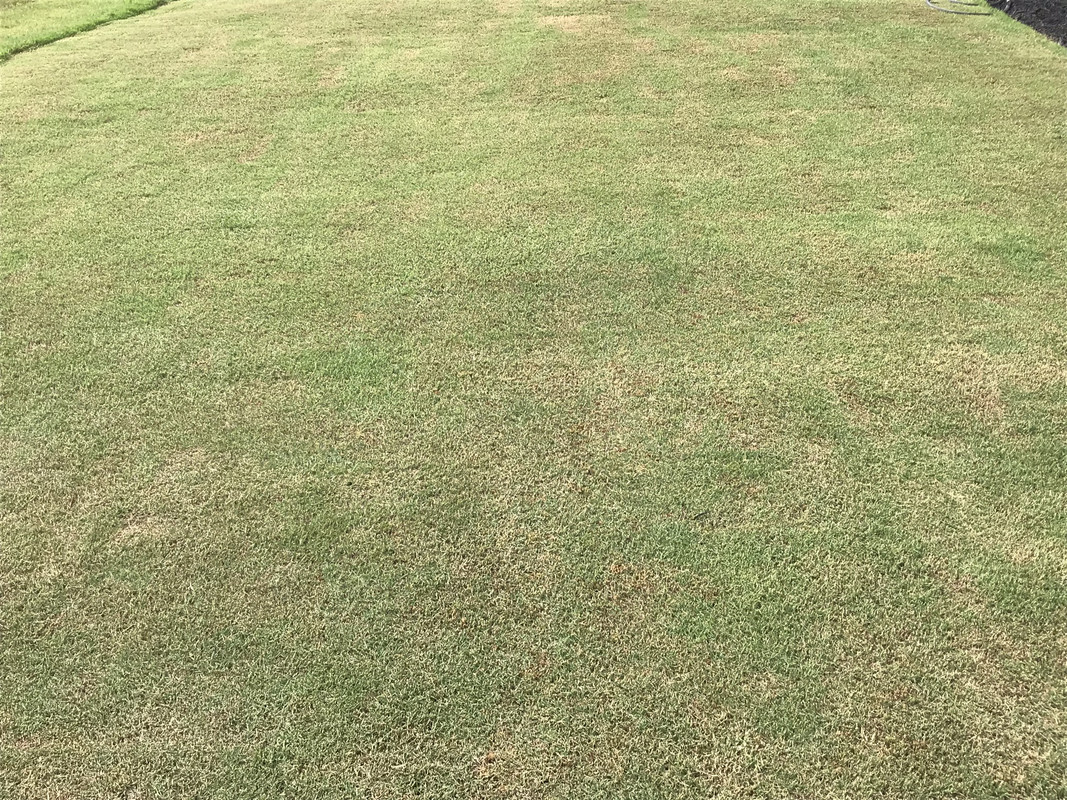 EFEA6805-7E2B-4318-8FB7-0F9F4D6135A9