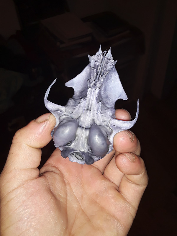 Blueberry Cat Skull