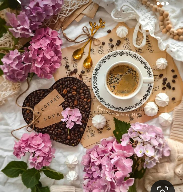 Screenshot_20230928_231913_Pinterest