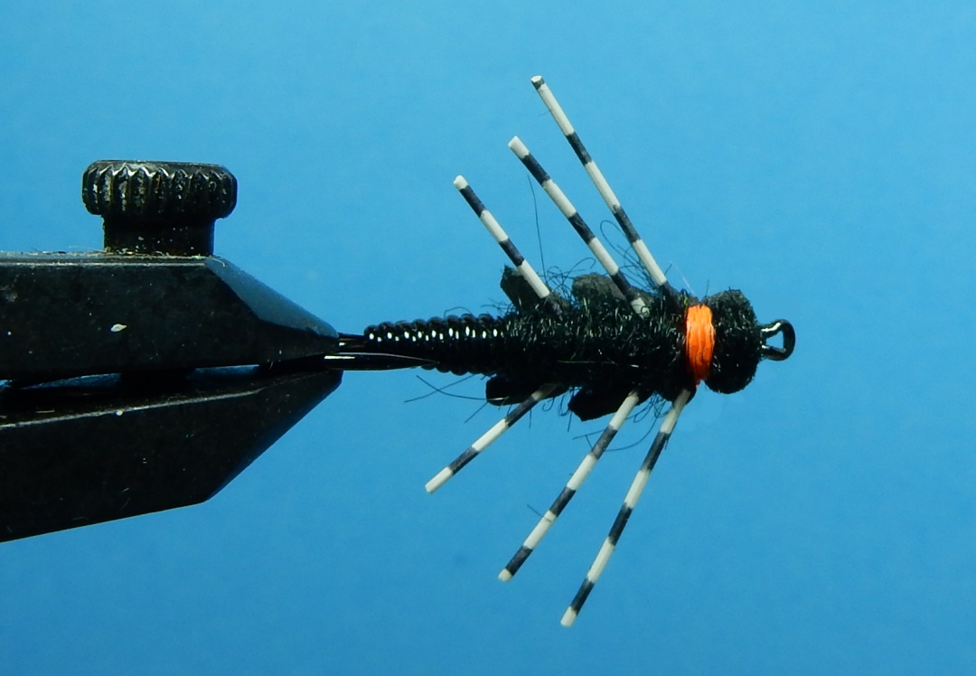 Giant-Stonefly-AKA-Eastern-Salmonfly-1080-Bottom.jpg