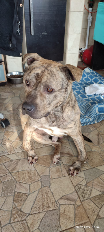 WhatsApp Image 2024-02-28 at 10.58.37 (1)