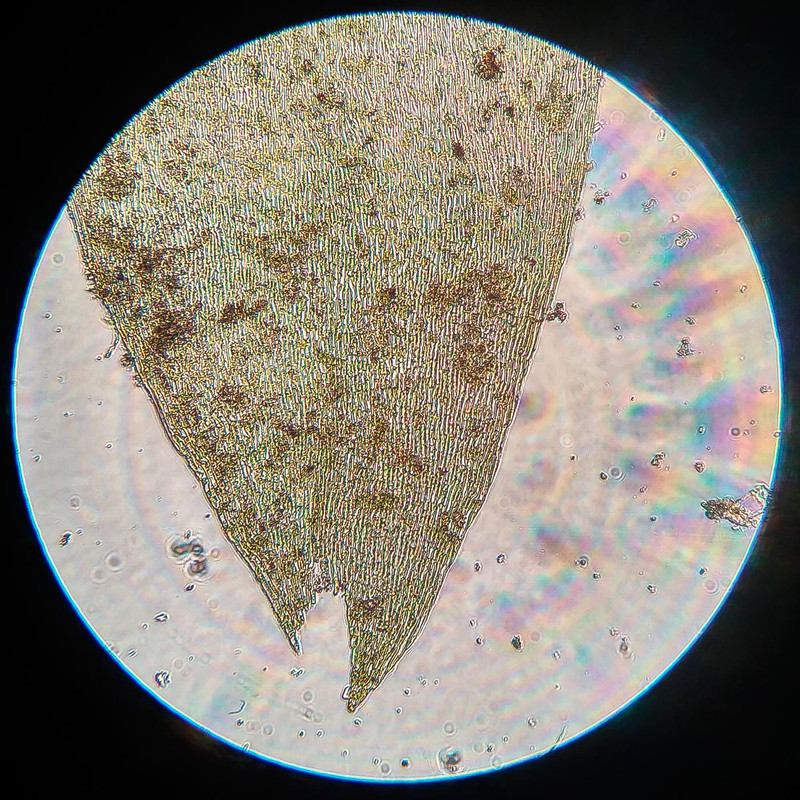 IMG 20250616 220545 HDR