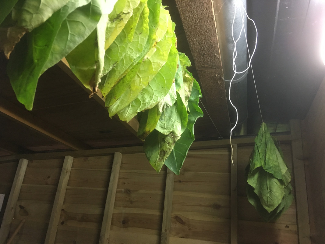 7286BB7F-4093-4E98-A244-13CBBC53CAD1