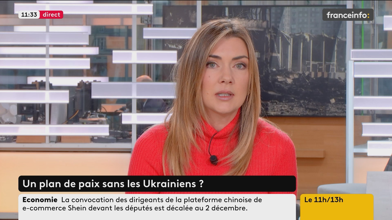 Le 11h 13h (Franceinfo) 2025 11 21 09 54 33 ts snapshot 00 39 56 780