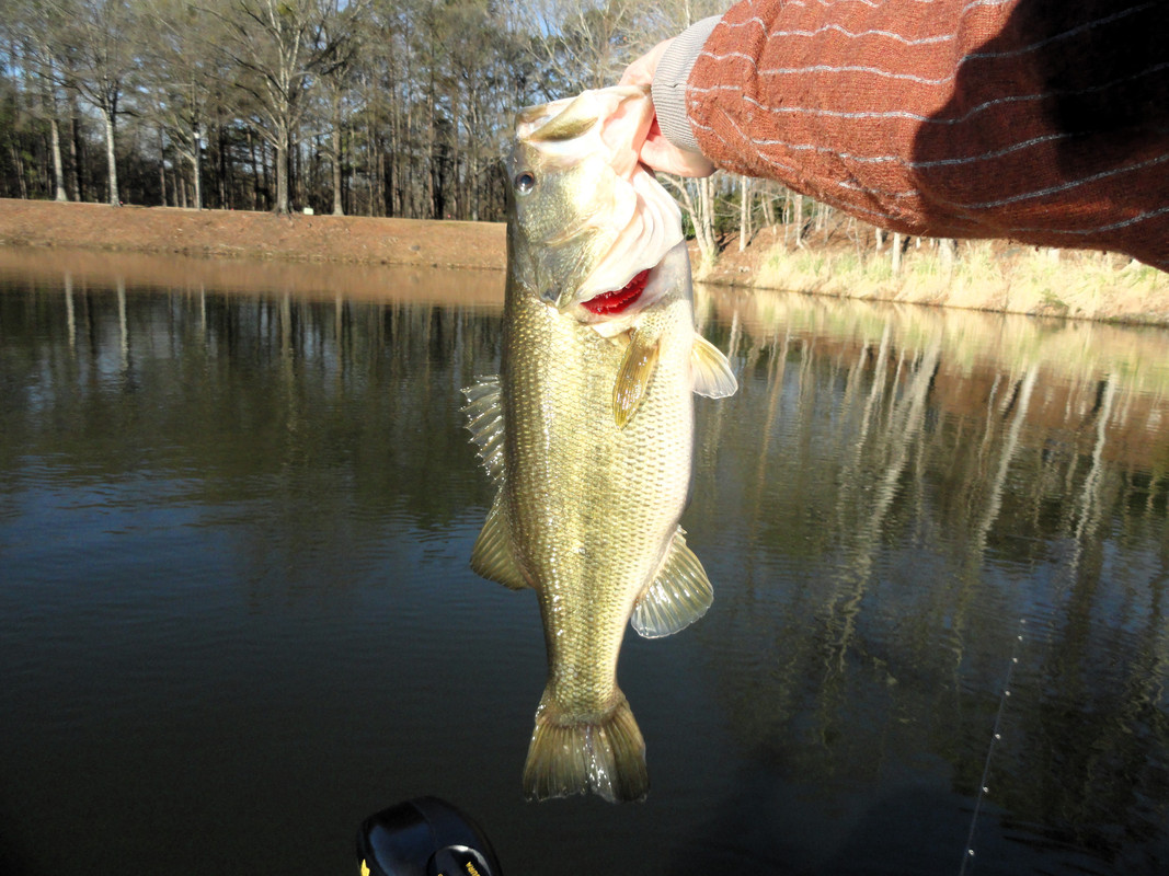 5-1-on-drift-fry-by-dam.jpg