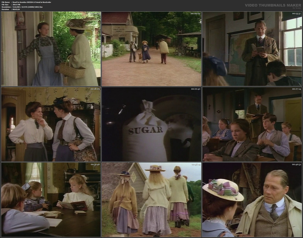 Road to Avonlea S05E04 A Friend in Need.mkv
